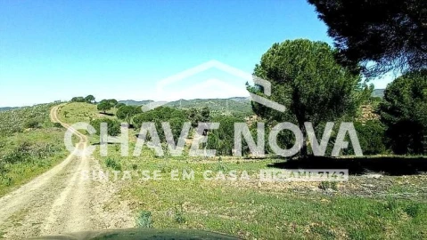 Terreno P/ Prédio para Venda em São Bartolomeu de Messines