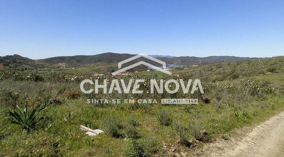 Terreno P/ Prédio para Venda em São Bartolomeu de Messines Foto 3