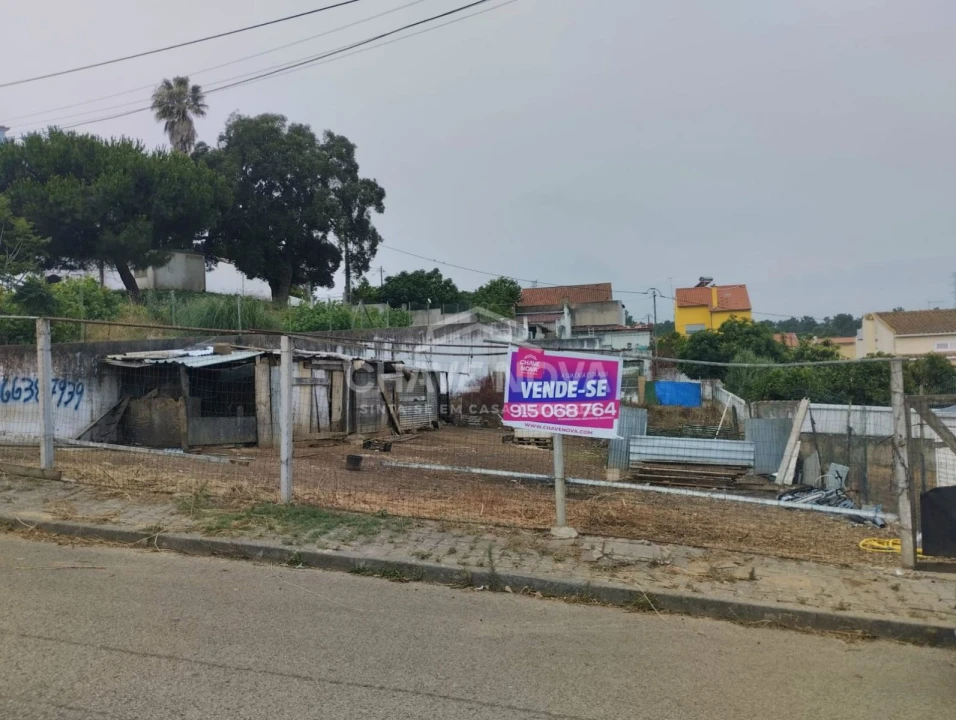 Terreno Agricola ou Rústico para Venda em Amora Foto 2