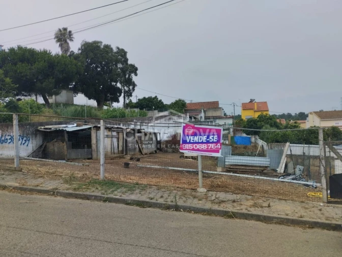 Terreno Agricola ou Rústico para Venda em Amora Foto 2