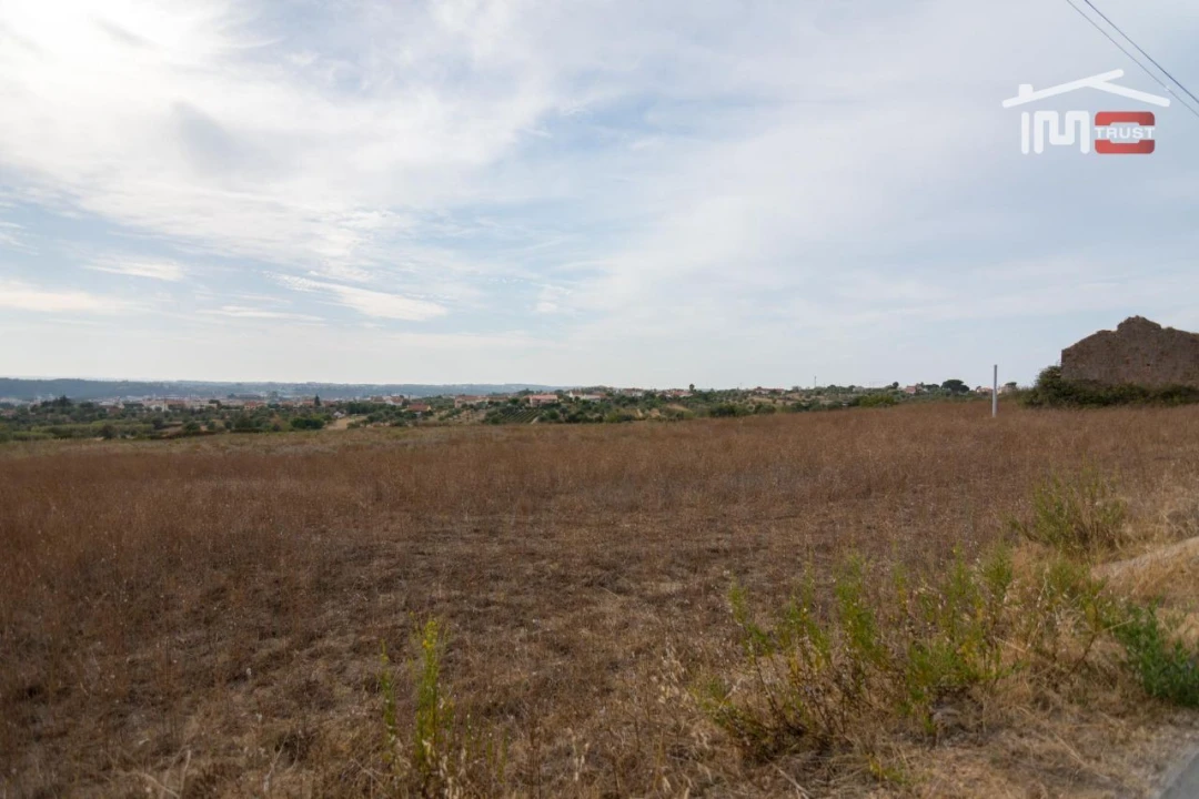 Terreno Misto para Venda em São João Baptista e Santa Maria dos Olivais Foto 8