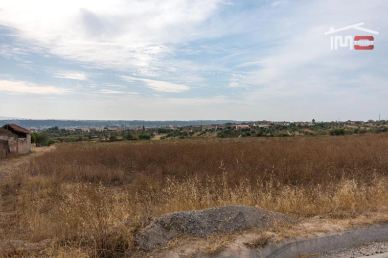 Terreno Misto para Venda em São João Baptista e Santa Maria dos Olivais Foto 7