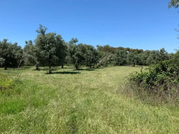 Quinta para Venda em Ourique
