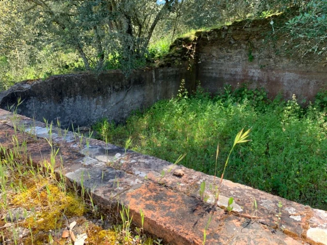 Quinta para Venda em Ourique