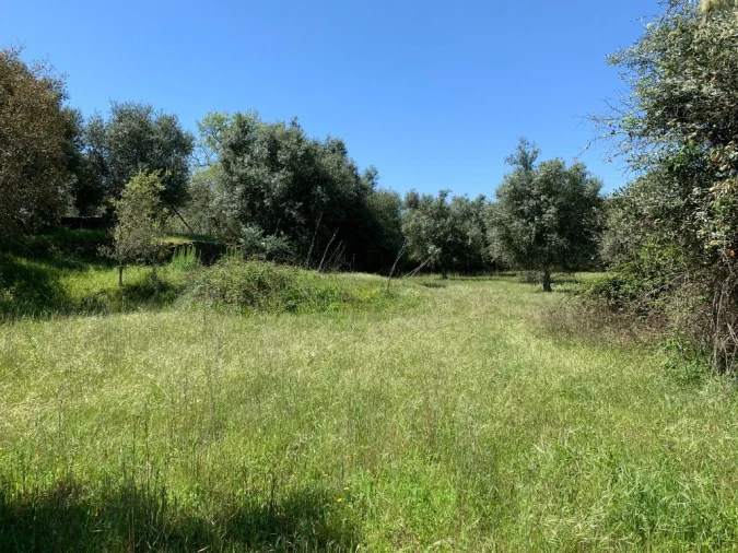Quinta para Venda em Ourique Foto 3