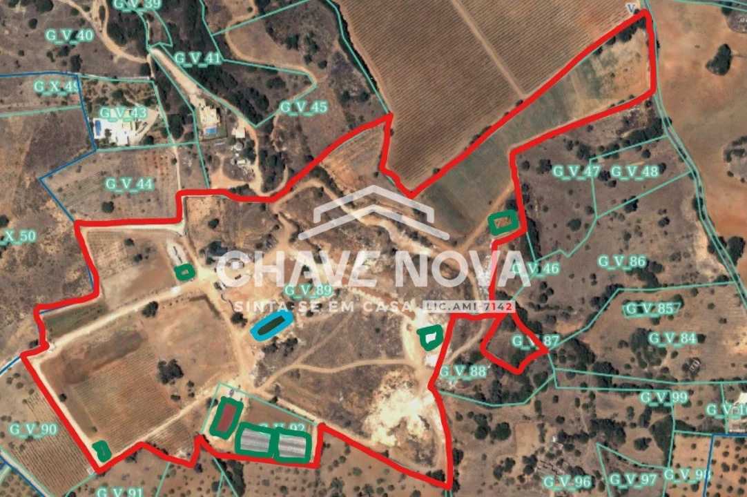 Negócio para Venda em Guia Foto 23