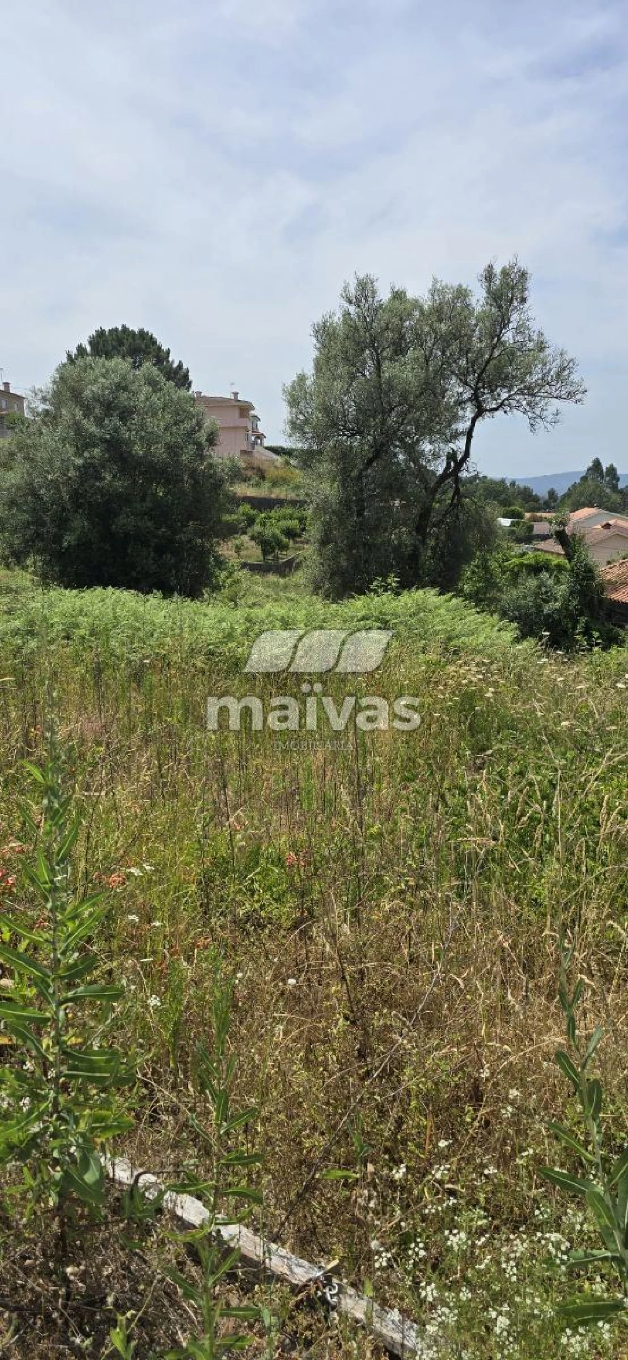 Negócio para Venda em Adaufe Foto 9