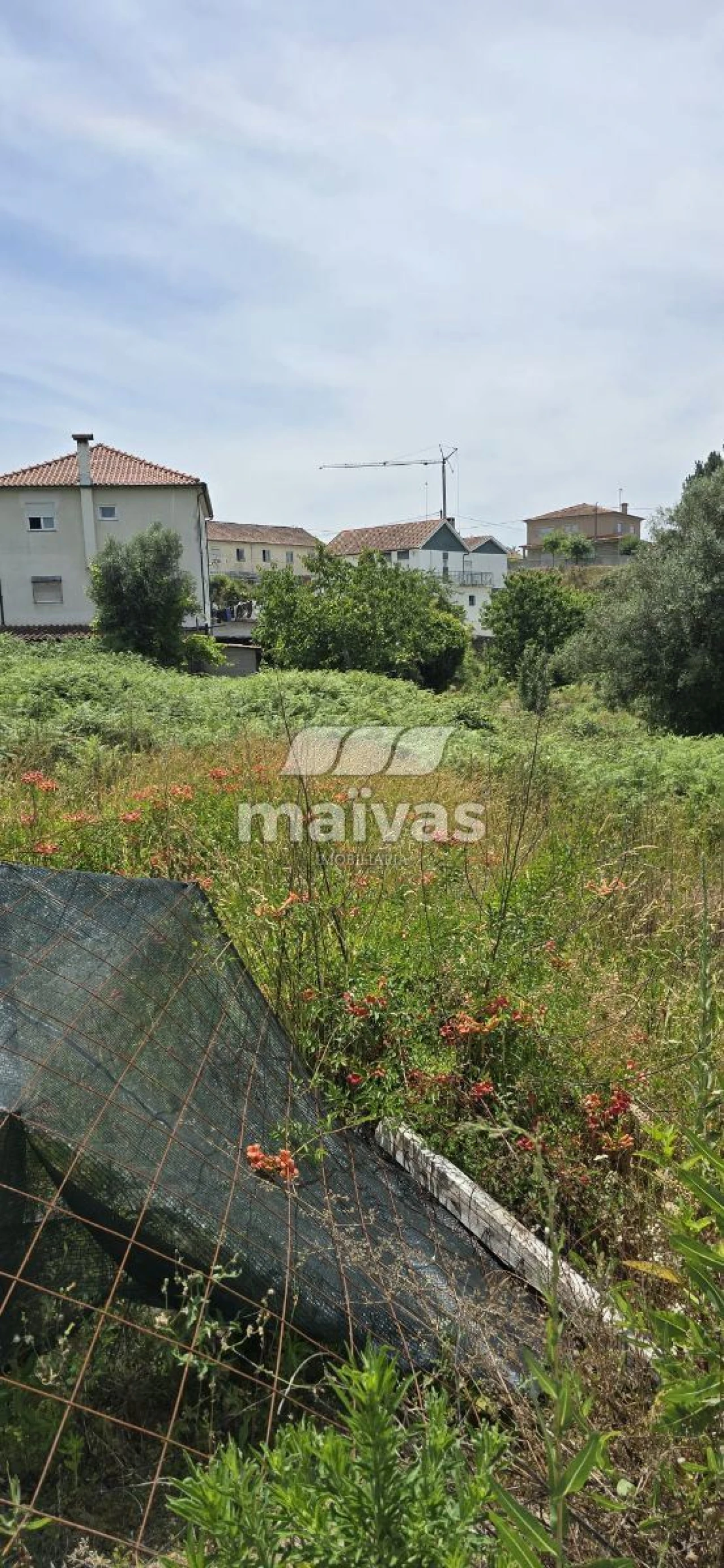 Negócio para Venda em Adaufe Foto 8