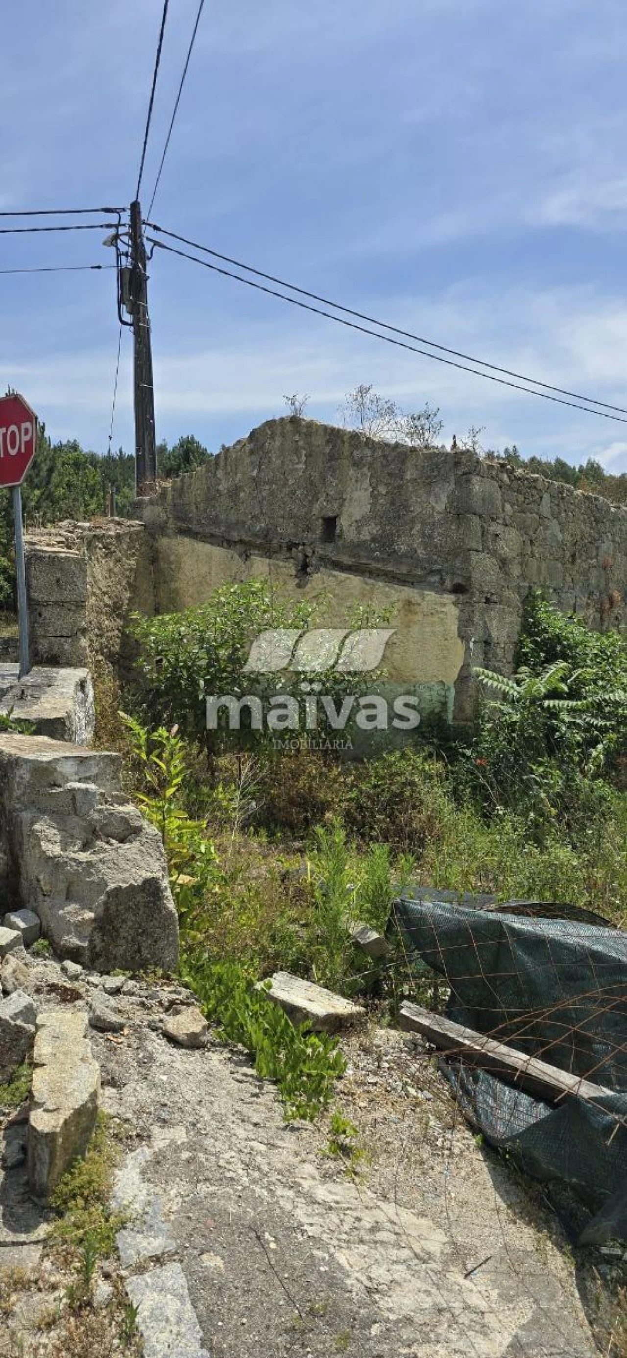 Negócio para Venda em Adaufe Foto 6