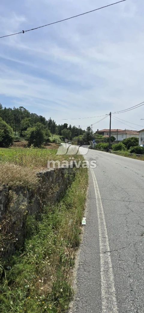 Negócio para Venda em Adaufe
