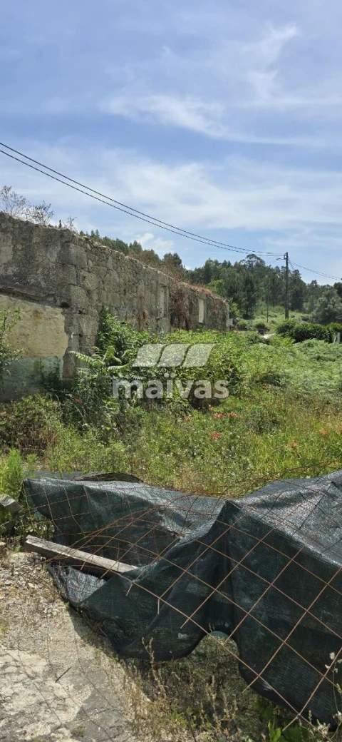 Negócio para Venda em Adaufe