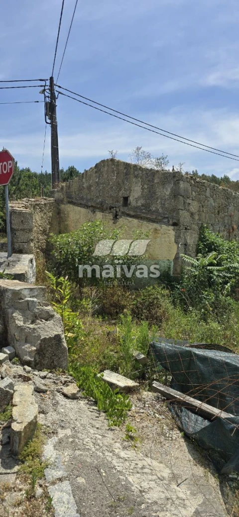 Negócio para Venda em Adaufe