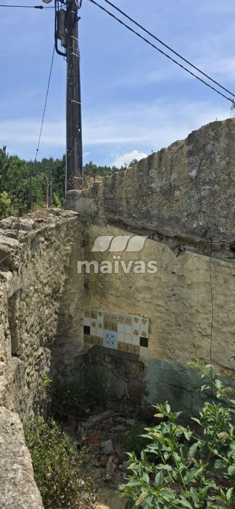 Negócio para Venda em Adaufe