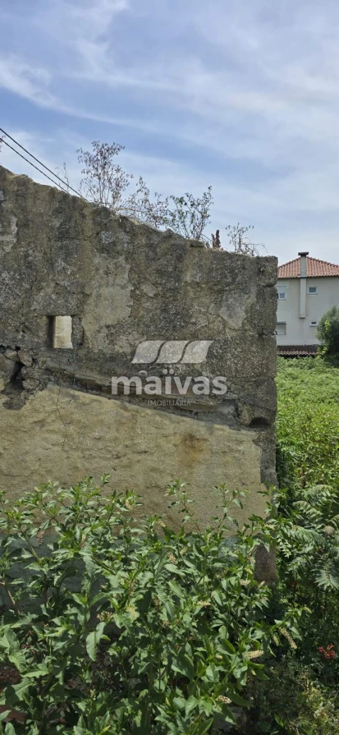 Negócio para Venda em Adaufe