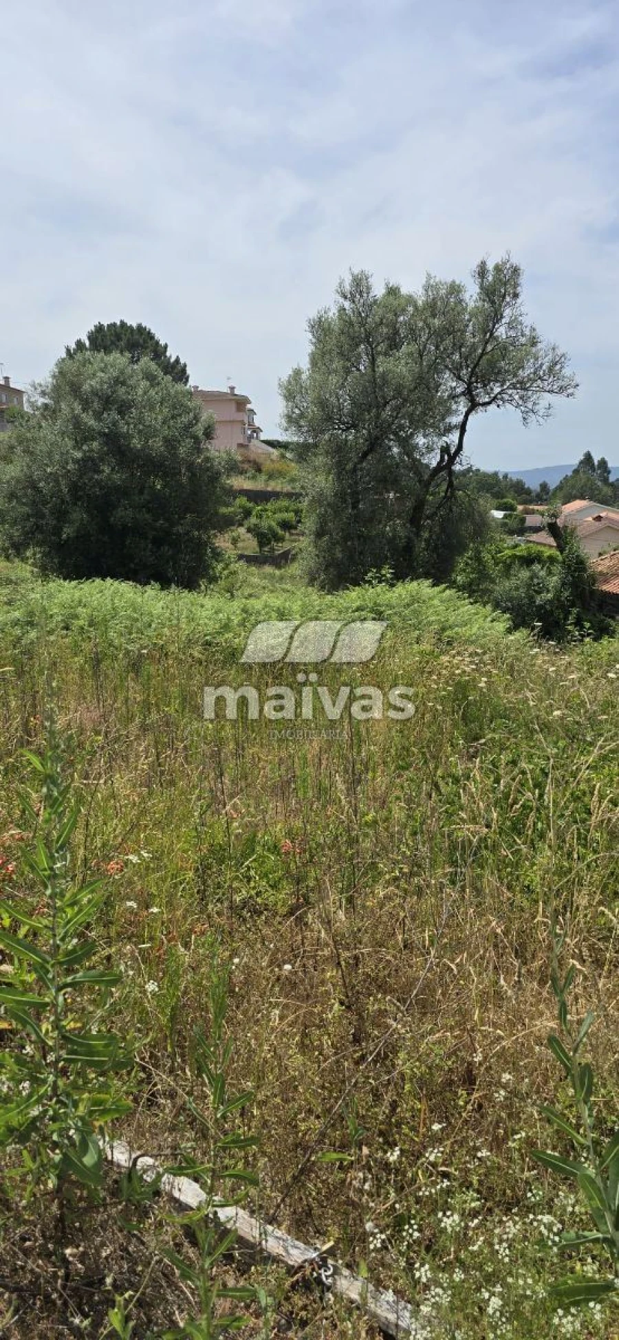 Negócio para Venda em Adaufe Foto 9