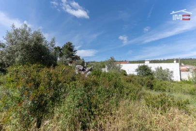 Terreno para Venda em Mira de Aire