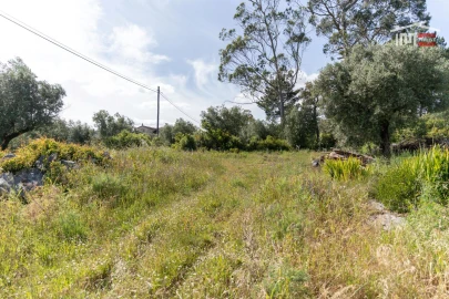 Terreno para Venda em Mira de Aire