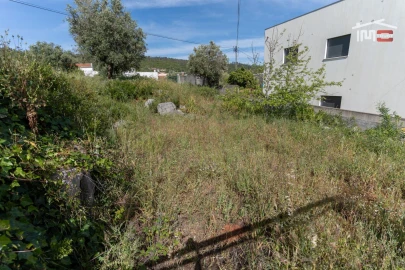 Terreno para Venda em Mira de Aire