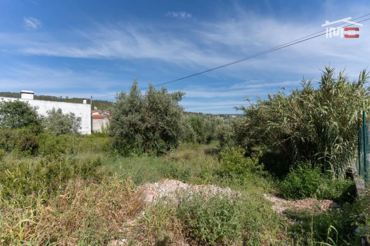 Terreno para Venda em Mira de Aire Foto 4