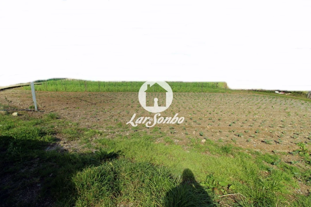 Terreno para Venda em Quintiães e Aguiar Foto 10