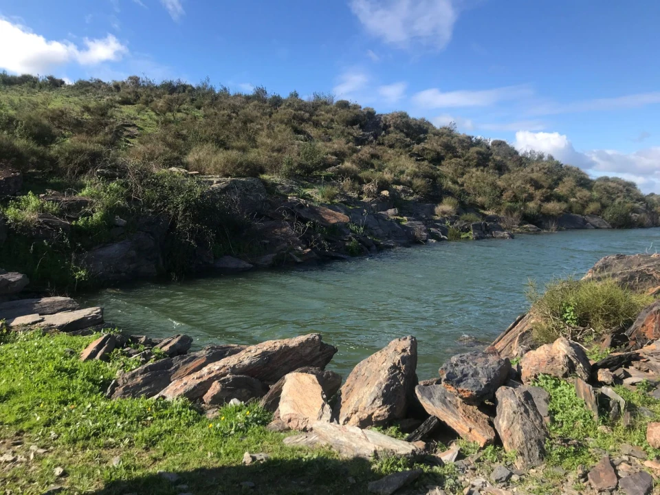 Quinta T3 para Venda em Mourão Foto 4