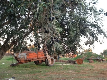 Quinta T3 para Venda em Mourão