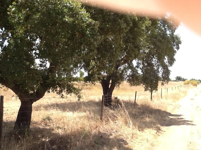 Quinta T3 para Venda em Mourão Foto 18