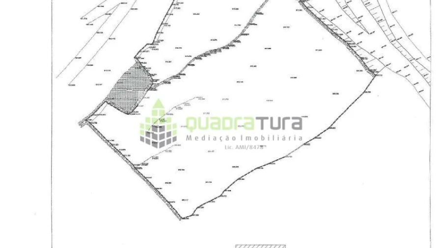 Terreno Agricola ou Rústico para Venda em Teixeira e Teixeiró