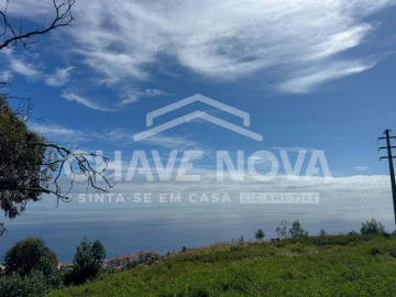 Moradia T4 para Venda em São Martinho