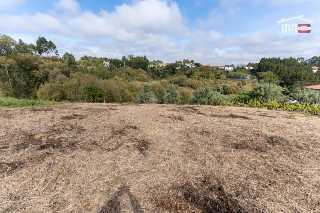 Terreno Agricola ou Rústico para Venda em Atouguia Foto 3