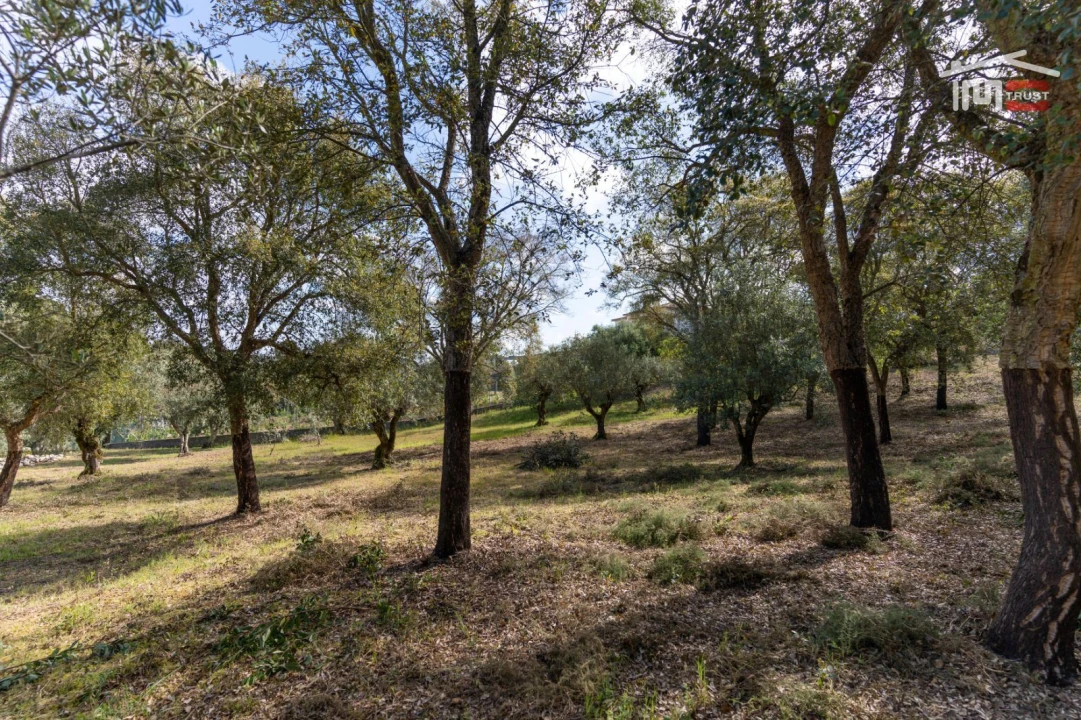 Terreno Agricola ou Rústico para Venda em Atouguia Foto 6