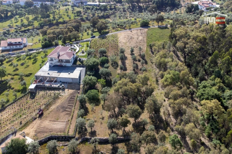 Terreno Agricola ou Rústico para Venda em Atouguia Foto 12