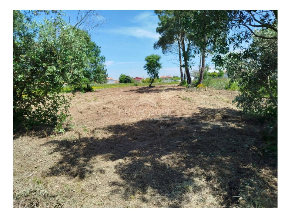 Terreno P/ Prédio para Venda em Ouca Foto 3