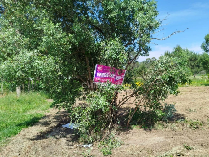 Terreno P/ Prédio para Venda em Ouca Foto 2