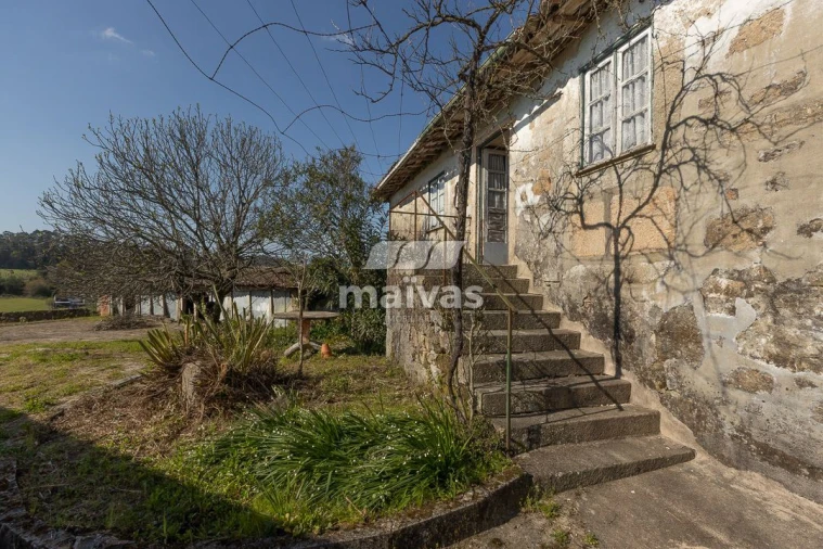 Negócio para Venda em Adaufe Foto 17