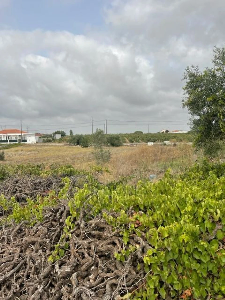 Quinta T3 para Venda em Poceirão e Marateca Foto 11