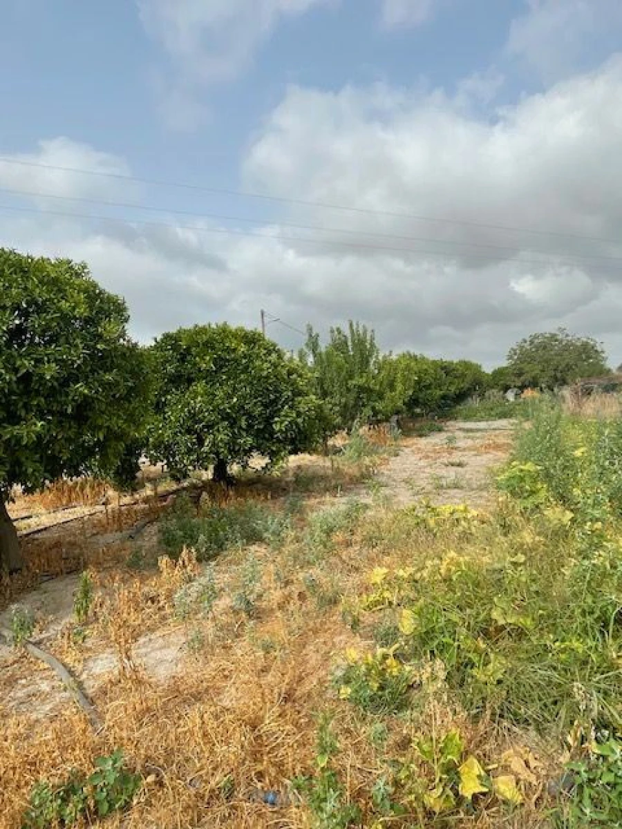 Quinta T3 para Venda em Poceirão e Marateca Foto 17