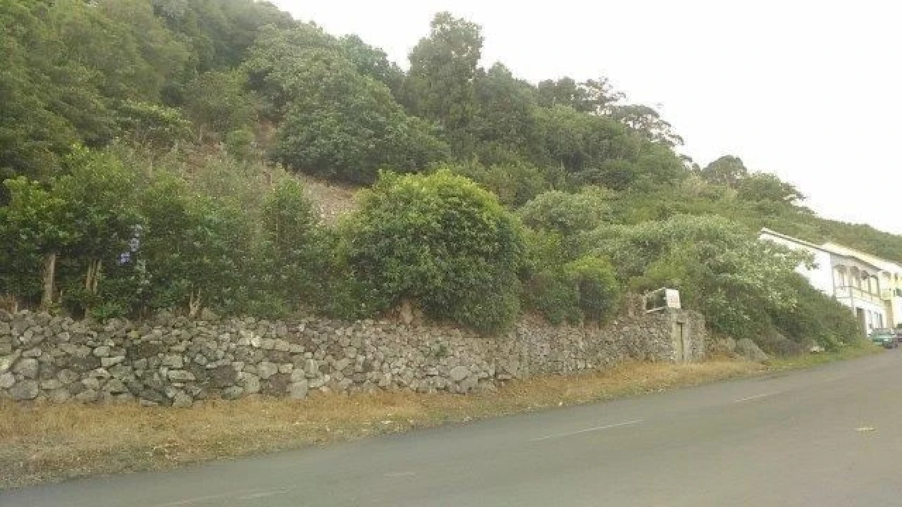 Terreno Misto para Venda em Fontinhas Foto 21