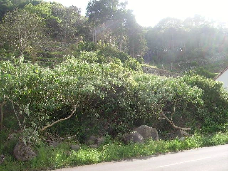 Terreno Misto para Venda em Fontinhas Foto 14