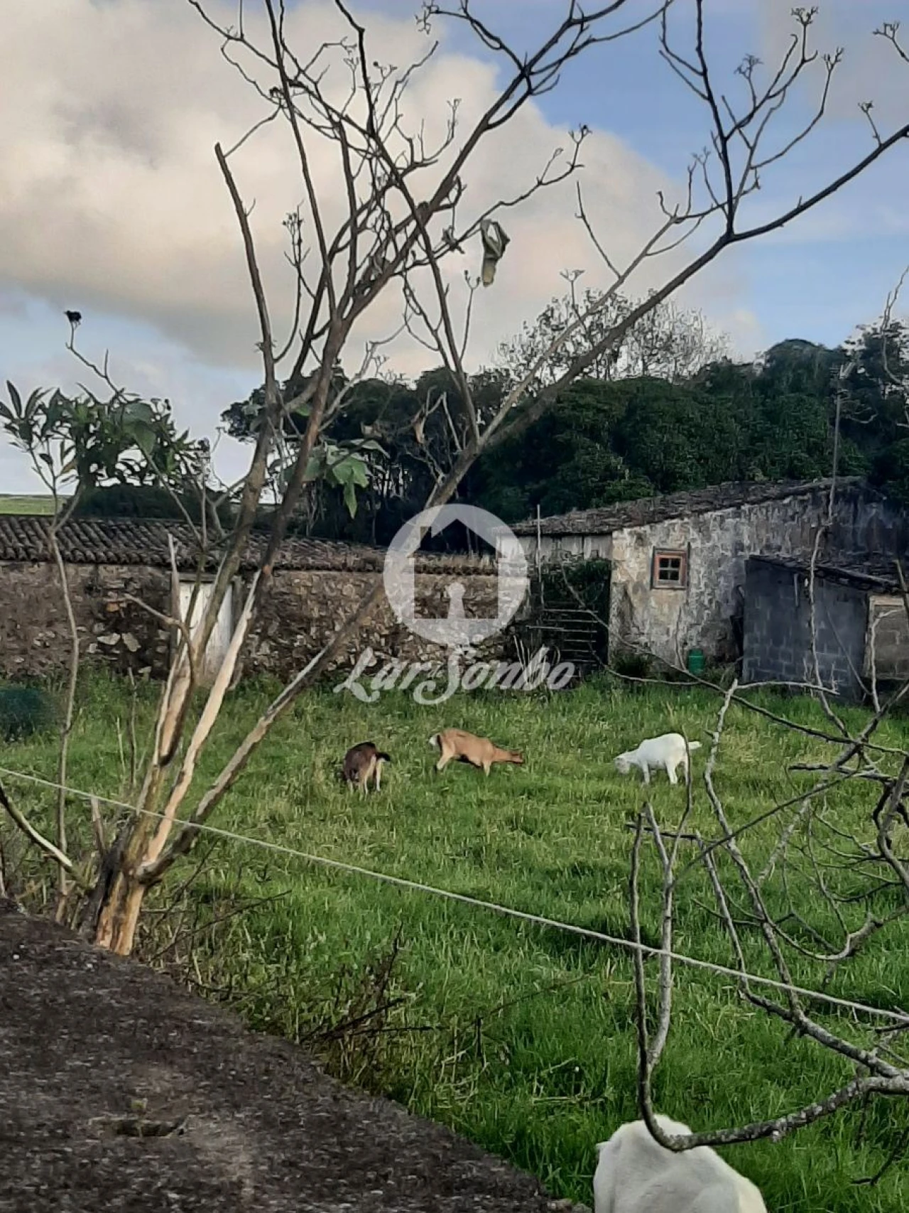 Terreno Misto para Venda em Fontinhas Foto 10