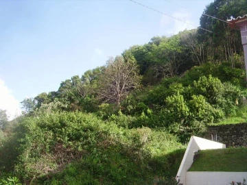 Terreno Misto para Venda em Fontinhas