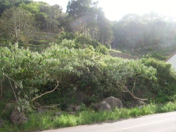 Terreno Misto para Venda em Fontinhas