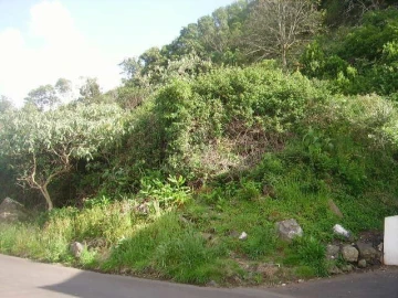 Terreno Misto para Venda em Fontinhas