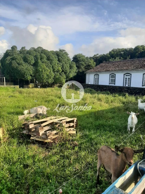Terreno Misto para Venda em Fontinhas