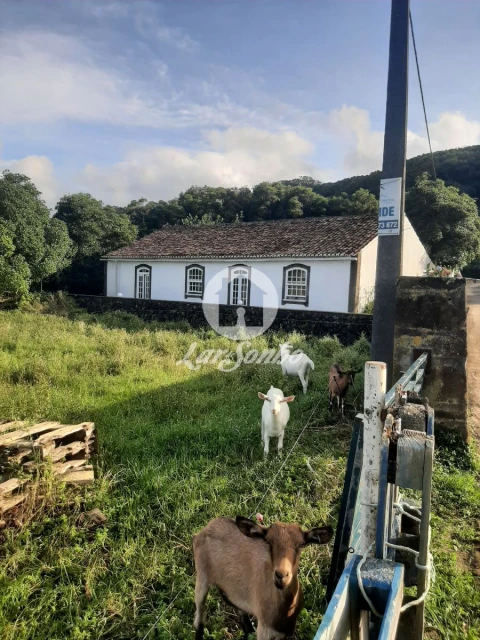 Terreno Misto para Venda em Fontinhas