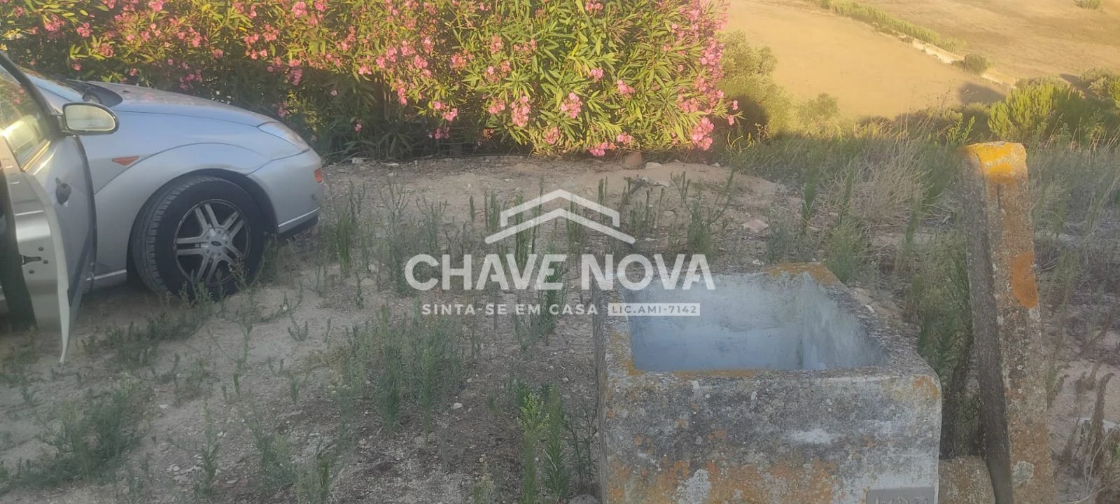 Terreno P/ Prédio para Venda em Azambuja Foto 5