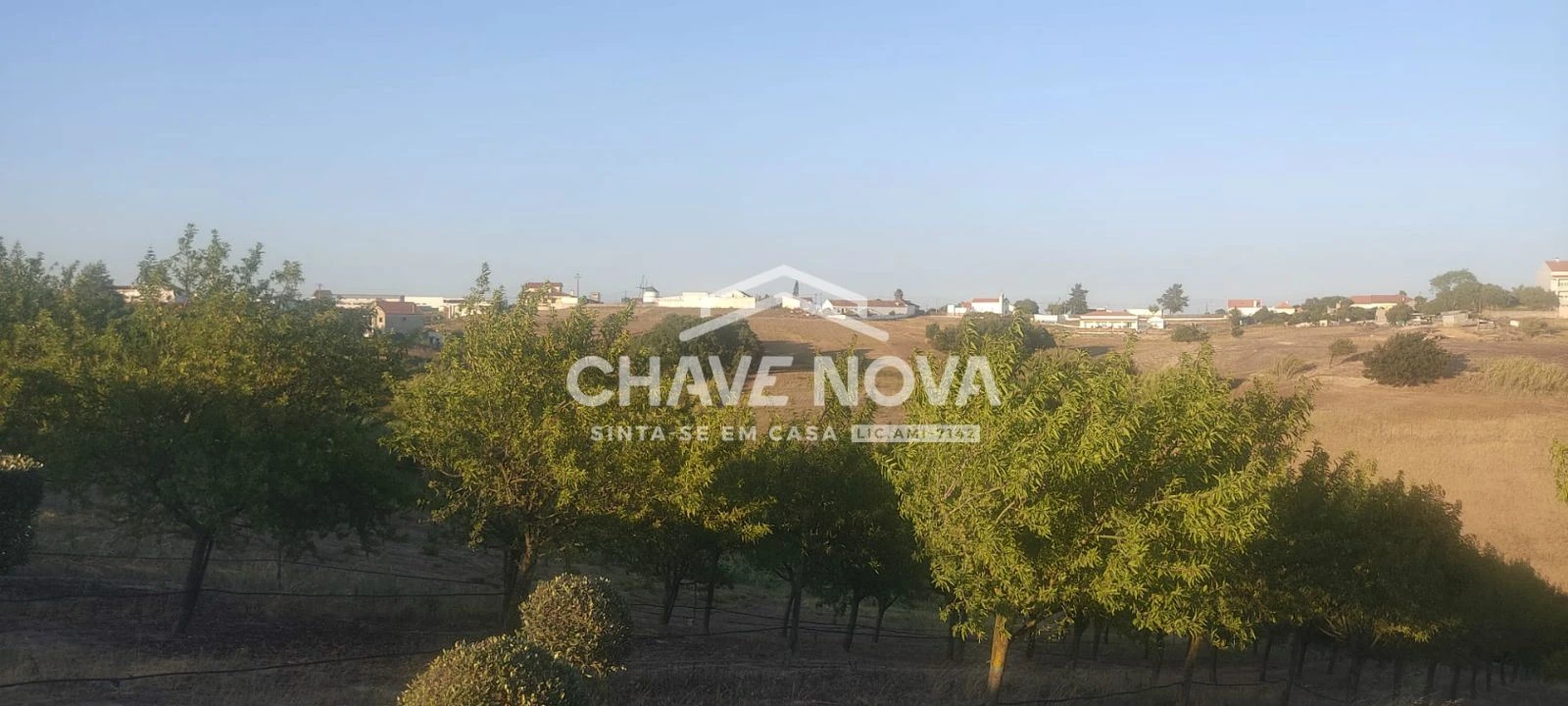 Terreno P/ Prédio para Venda em Azambuja Foto 10