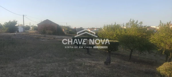 Terreno P/ Prédio para Venda em Azambuja