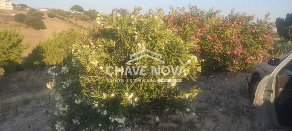 Terreno P/ Prédio para Venda em Azambuja