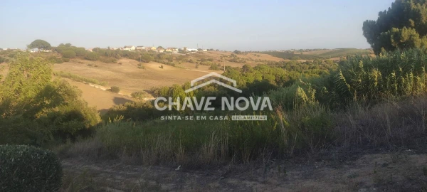 Terreno P/ Prédio para Venda em Azambuja